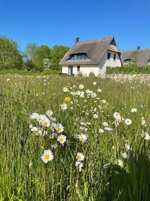 Stilvolles Reetdachhaus Coastline An Der Ostsee Groß Schwansee Zewnętrze zdjęcie
