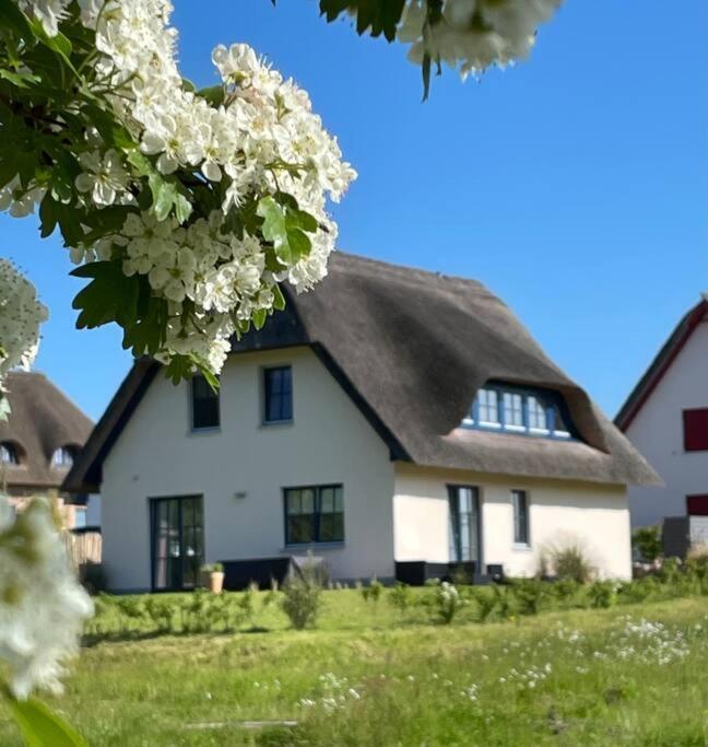 Stilvolles Reetdachhaus Coastline An Der Ostsee Groß Schwansee Zewnętrze zdjęcie