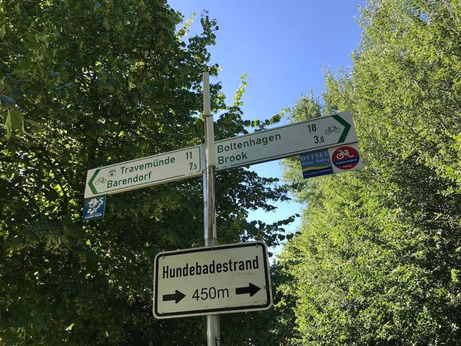 Stilvolles Reetdachhaus Coastline An Der Ostsee Groß Schwansee Zewnętrze zdjęcie